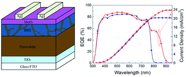 Graphical abstract: Efficient perovskite/organic integrated solar cells with extended photoresponse to 930 nm and enhanced near-infrared external quantum efficiency of over 50%