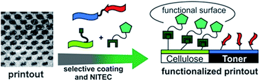 Graphical abstract: Selective functionalization of laser printout patterns on cellulose paper sheets coated with surface-specific peptides