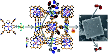 Graphical abstract: Porphyrinic coordination lattices with fluoropillars