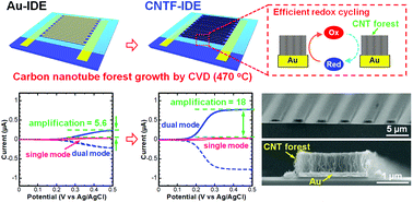 Graphical abstract: An interdigitated electrode with dense carbon nanotube forests on conductive supports for electrochemical biosensors