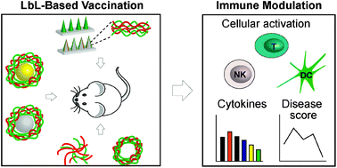 Graphical abstract: Harnessing the layer-by-layer assembly technique to design biomaterials vaccines for immune modulation in translational applications