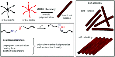 Graphical abstract: A catalyst-free, temperature controlled gelation system for in-mold fabrication of microgels