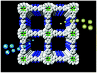 Graphical abstract: A squaraine-linked metalloporphyrin two-dimensional polymer photocatalyst for hydrogen and oxygen evolution reactions