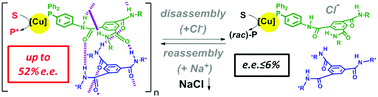 Graphical abstract: Modulation of catalyst enantioselectivity through reversible assembly of supramolecular helices