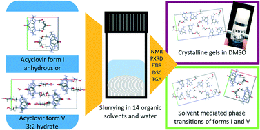 Graphical abstract: Solvent driven phase transitions of acyclovir – the role of water and solvent polarity