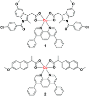 Graphical abstract: Biophysical analysis of cancer stem cell-potent copper(ii) coordination complexes