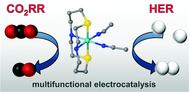 Graphical abstract: Sulfur substitution in a Ni(cyclam) derivative results in lower overpotential for CO2 reduction and enhanced proton reduction