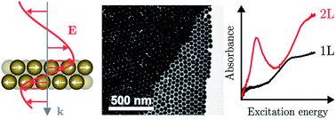 Graphical abstract: Direct optical excitation of dark plasmons for hot electron generation