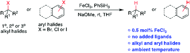 Graphical abstract: Iron-catalyzed protodehalogenation of alkyl and aryl halides using hydrosilanes