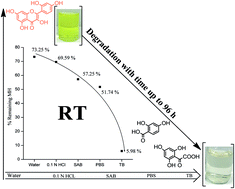 Graphical abstract: Determination of solubility, stability and degradation kinetics of morin hydrate in physiological solutions
