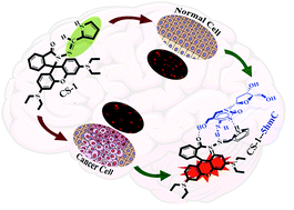 Graphical abstract: 2′-Deoxy-5-(hydroxymethyl)cytidine: estimation in human cancer cells with a simple chemosensor