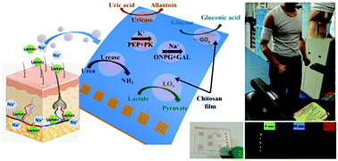 Graphical abstract: A self-powered electronic-skin for real-time perspiration analysis and application in motion state monitoring