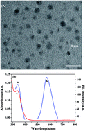 Graphical abstract: Facile fluorescence strategy for sensitive detection of microcystin-LR based on dsDNA-templated copper nanoclusters