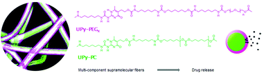 Graphical abstract: Multi-component supramolecular fibers with elastomeric properties and controlled drug release