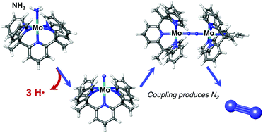 Graphical abstract: Design and reactivity of pentapyridyl metal complexes for ammonia oxidation