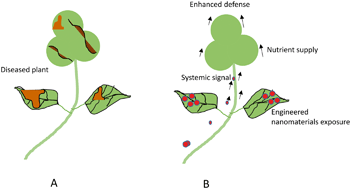 Graphical abstract: Recent advances in nano-enabled fertilizers and pesticides: a critical review of mechanisms of action