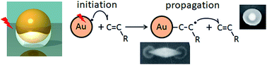 Graphical abstract: Hot electron science in plasmonics and catalysis: what we argue about