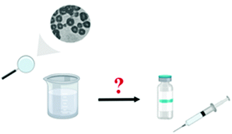 Graphical abstract: Twenty-five years of polymersomes: lost in translation?