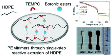 Graphical abstract: Transformation of polyethylene into a vitrimer by nitroxide radical coupling of a bis-dioxaborolane