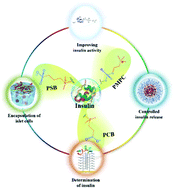 Graphical abstract: Functional zwitterionic biomaterials for administration of insulin