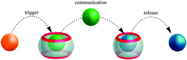 Graphical abstract: Chemical signal cascading in a supramolecular network