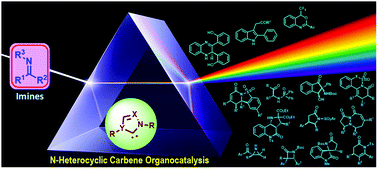 Graphical abstract: Imines as acceptors and donors in N-heterocyclic carbene (NHC) organocatalysis