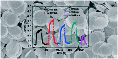 Graphical abstract: Fast colloidal synthesis of SnSe2 nanosheets for flexible broad-band photodetection