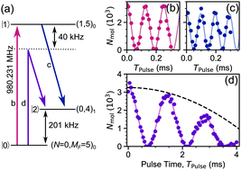 Graphical abstract: Coherent manipulation of the internal state of ultracold 87Rb133Cs molecules with multiple microwave fields