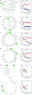 Graphical abstract: Biological carbon fixation: a thermodynamic perspective