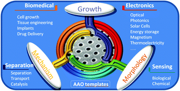 Graphical abstract: Revisiting anodic alumina templates: from fabrication to applications