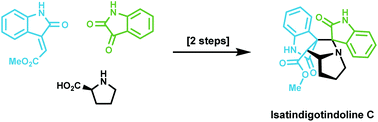 Graphical abstract: Total synthesis of isatindigotindoline C