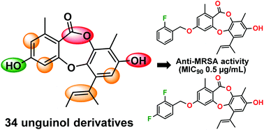 Graphical abstract: Semisynthesis and biological evaluation of a focused library of unguinol derivatives as next-generation antibiotics