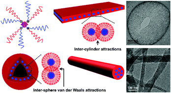 Graphical abstract: Hierarchical self-assembly of miktoarm star copolymers with pathway complexity