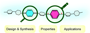 Graphical abstract: Quinoidal conjugated polymers with open-shell character