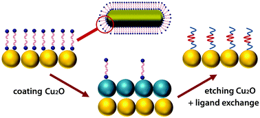 Graphical abstract: Ligand exchange on noble metal nanocrystals assisted by coating and etching of cuprous oxide