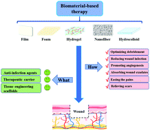 Graphical abstract: Recent trends on burn wound care: hydrogel dressings and scaffolds