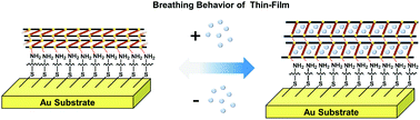 Graphical abstract: Organic guest molecule induced ultrafast breathing of an epitaxially grown metal–organic framework on a self-assembled monolayer