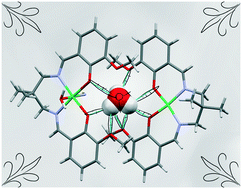 Graphical abstract: Theoretical insights on the encapsulated hydronium ion mediated supramolecular assembly of nickel(ii) Schiff base complexes: strong hydrogen bonding interaction due to charge transfer from the lone pair of oxygen to the antibonding orbital of the O–H bond