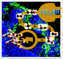 Graphical abstract: Electrocatalytic CO2 reduction: role of the cross-talk at nano-carbon interfaces