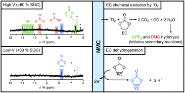 Graphical abstract: Two electrolyte decomposition pathways at nickel-rich cathode surfaces in lithium-ion batteries