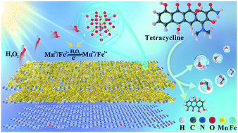 Graphical abstract: H2O2-free photo-Fenton system for antibiotics degradation in water via the synergism of oxygen-enriched graphitic carbon nitride polymer and nano manganese ferrite