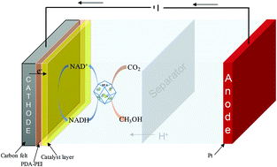 Graphical abstract: Encapsulation of multiple enzymes in a metal–organic framework with enhanced electro-enzymatic reduction of CO2 to methanol