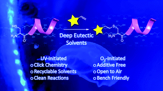 Graphical abstract: Radical-mediated thiol–ene ‘click’ reactions in deep eutectic solvents for bioconjugation