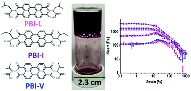 Graphical abstract: Impact of subtle change in branched amino acid on the assembly and properties of perylene bisimides hydrogels