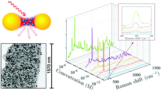 Graphical abstract: Gold nanoplasmonic particles in tunable porous silicon 3D scaffolds for ultra-low concentration detection by SERS