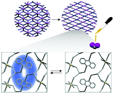 Graphical abstract: Stepwise coordination isomerism of 2D networks: adsorption of diiodomethane into crystals and recognition in SCSC mode