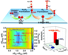 Graphical abstract: Regulating the adsorption behavior of intermediates on Ir–W@Ir–WO3−x boosts acidic water oxidation electrocatalysis