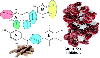 Graphical abstract: Biologically guided isolation and ADMET profile of new factor Xa inhibitors from Glycyrrhiza glabra roots using in vitro and in silico approaches