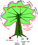 Graphical abstract: Antimicrobial peptide-based materials: opportunities and challenges