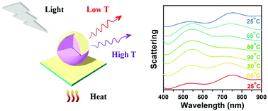 Graphical abstract: Synthesis of monodispersed VO2@Au core–semishell submicroparticles and their switchable optical properties